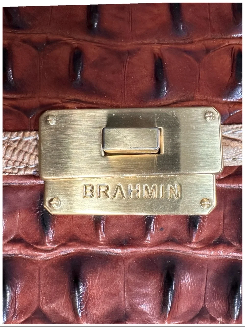 Brahmin mimosa tri